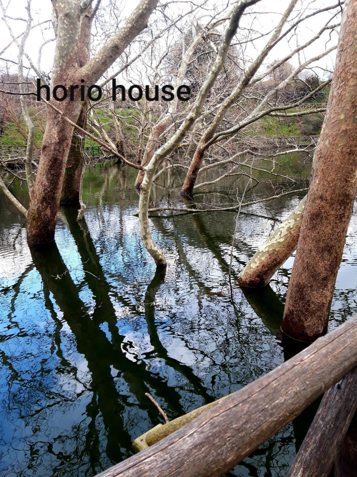 Villa Horio House Limni  Camera foto